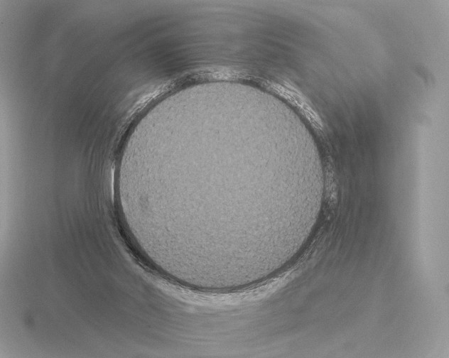 X0000115320014200912141208