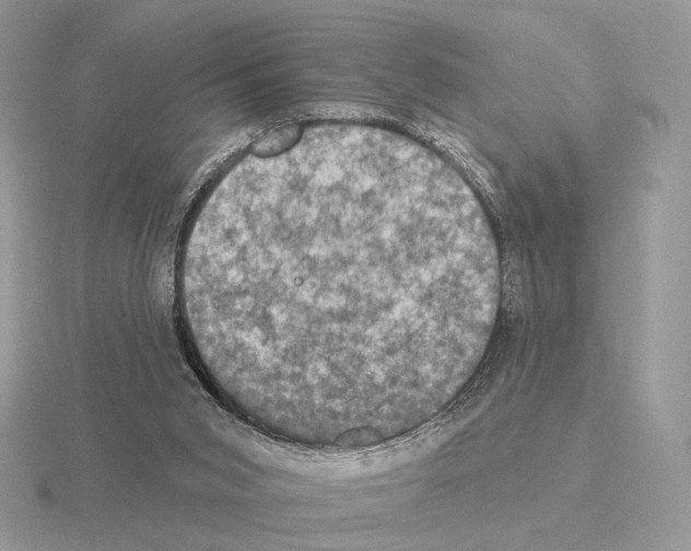 X0000115320015200912141208