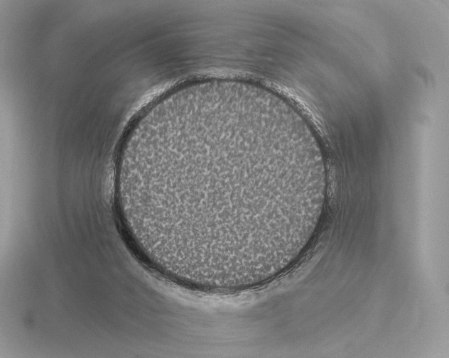 X0000115320016200912141208