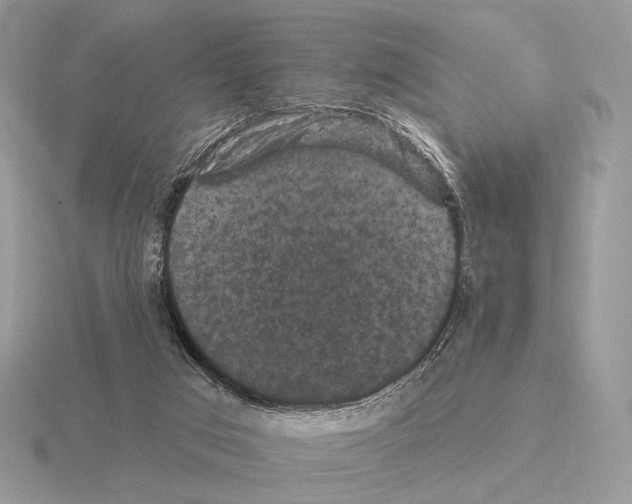 X0000115320017200912141208