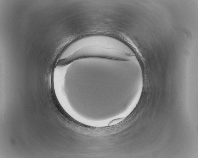 X0000115320019200912141208