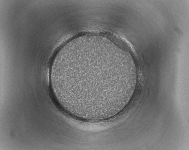 X0000115320020200912141208