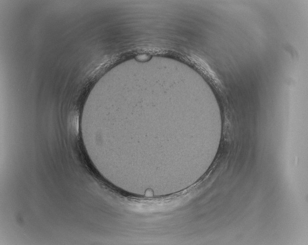 X0000115320021200912141208