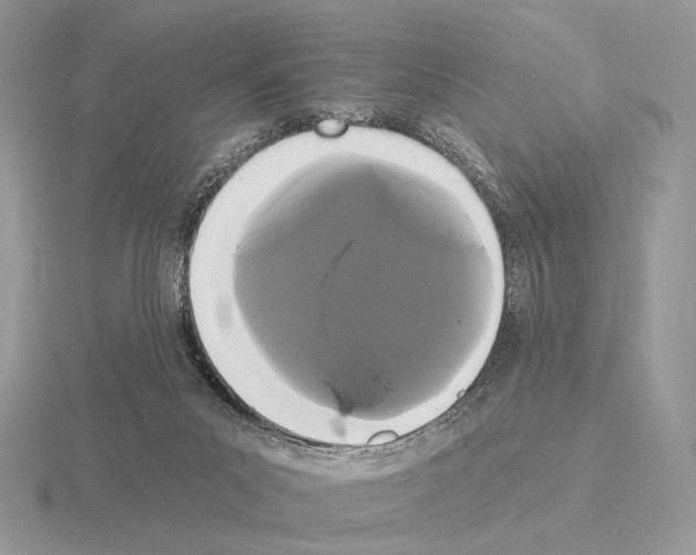 X0000115320023200912141208