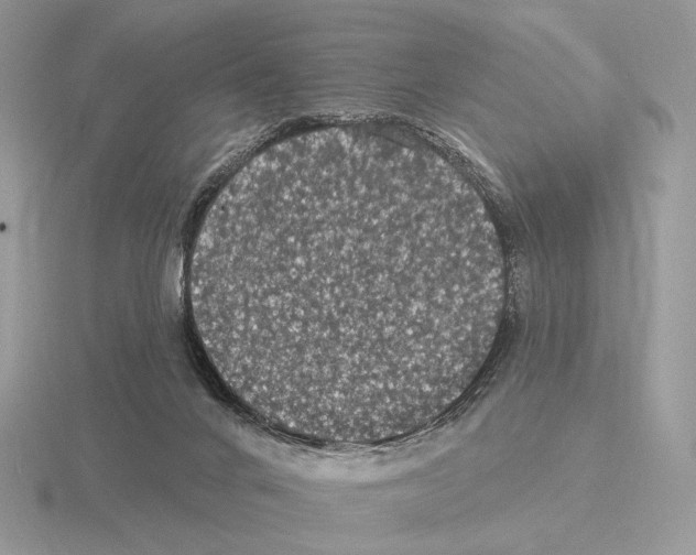 X0000115320024200912141208