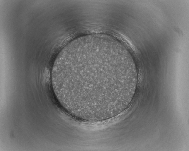 X0000115320025200912141208