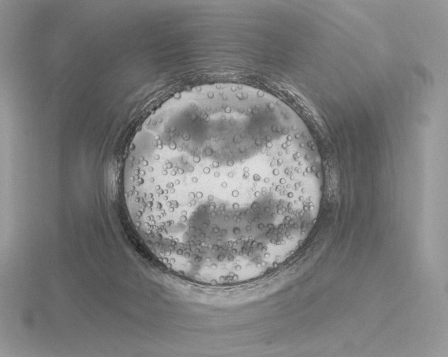 X0000115320026200912141208