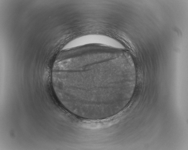 X0000115320029200912141208