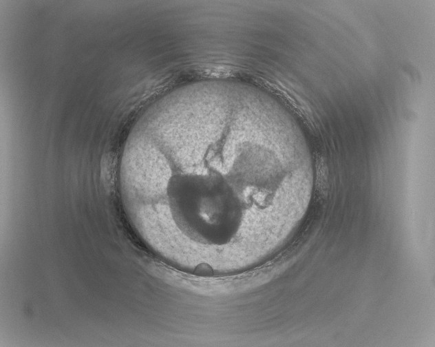 X0000115320030200912141208