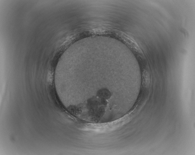 X0000115320033200912141207