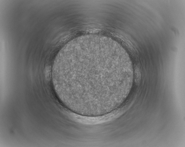 X0000115320034200912141207