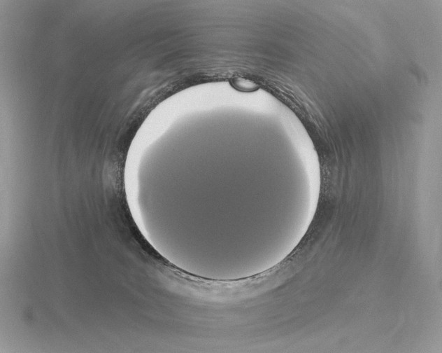 X0000115320035200912141207