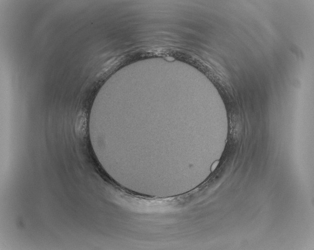 X0000115320036200912141207