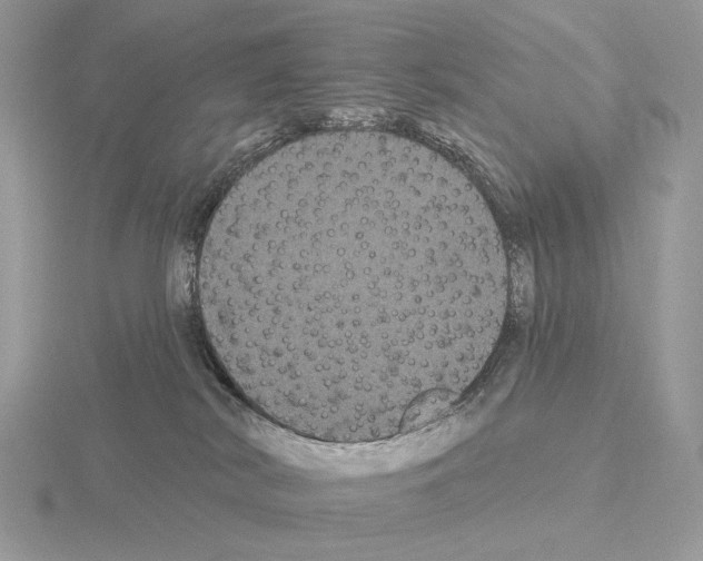 X0000115320038200912141207