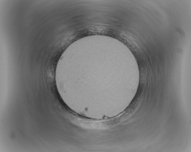 X0000115320040200912141207