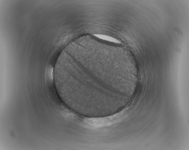 X0000115320041200912141207