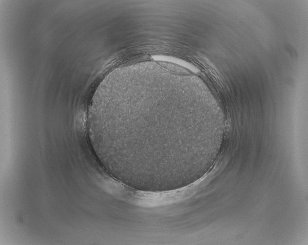 X0000115320045200912141207