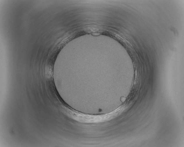 X0000115320048200912141207