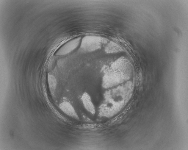 X0000115320049200912141207