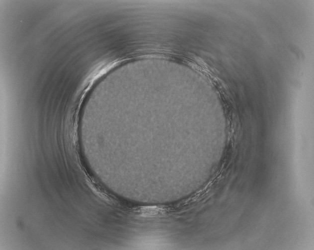 X0000115320050200912141207