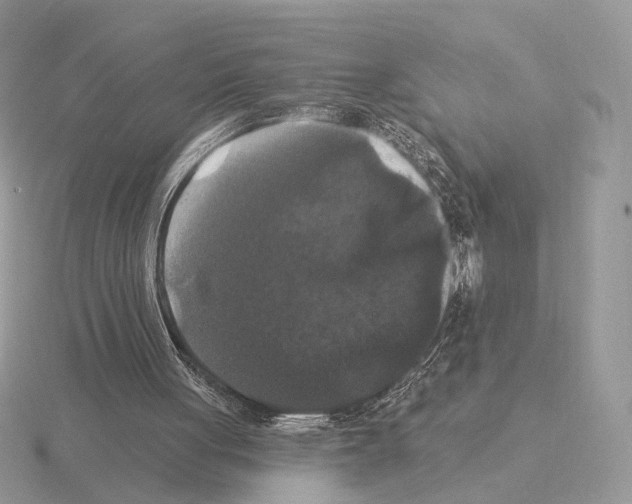 X0000115320051200912141207