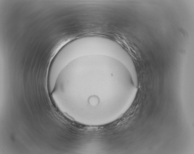 X0000115320052200912141207