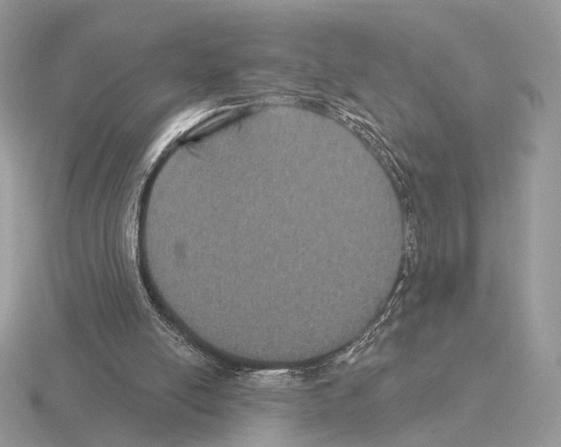 X0000115320054200912141207