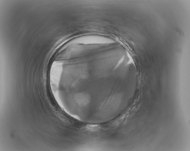 X0000115320055200912141207