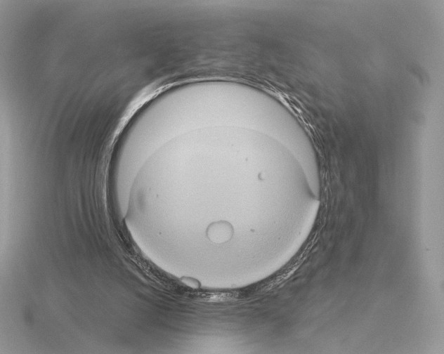 X0000115320056200912141207