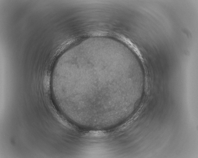 X0000115320057200912141207