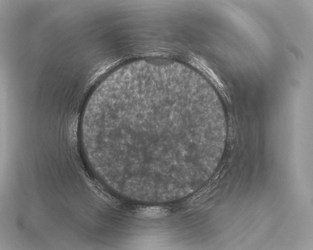 X0000115320058200912141207