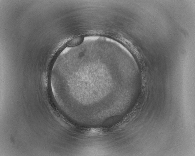 X0000115320060200912141207