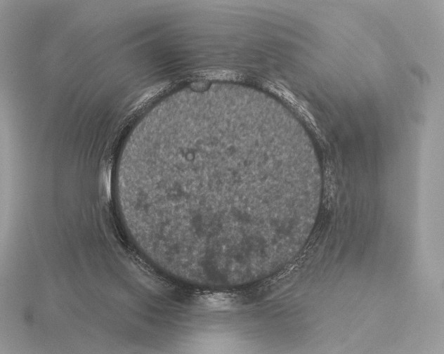 X0000115320062200912141207