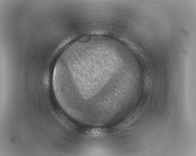 X0000115320064200912141207