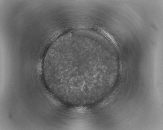 X0000115320065200912141207