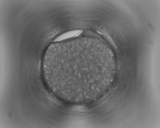 X0000115320066200912141207