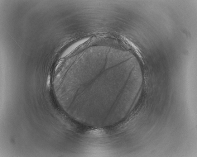 X0000115320067200912141207