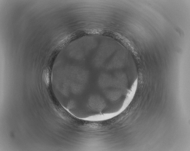 X0000115320069200912141207