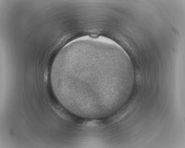 X0000115320072200912141207