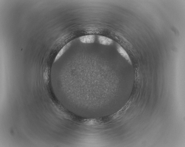 X0000115320074200912141207