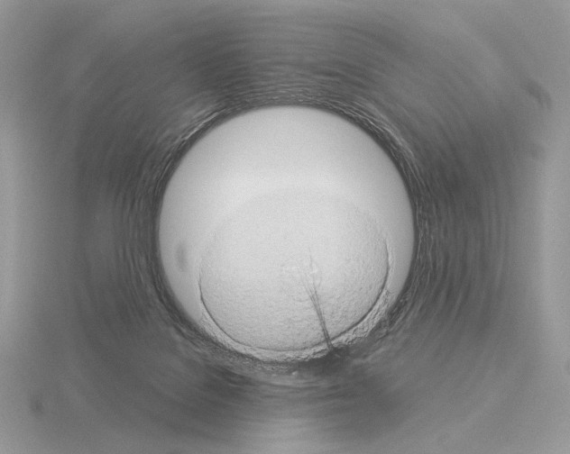 X0000115320076200912141207