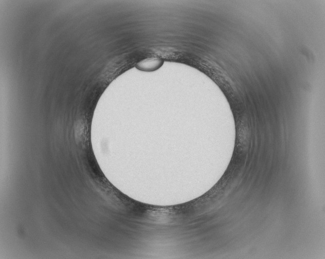 X0000115320079200912141207