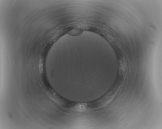 X0000115320080200912141207