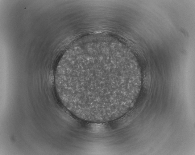 X0000115320085200912141207