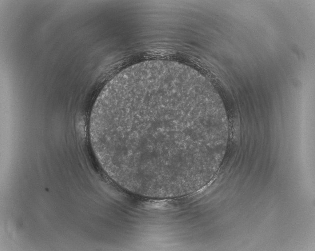 X0000115320086200912141207