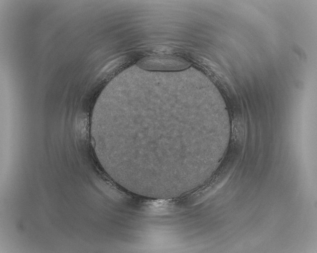 X0000115320092200912141207