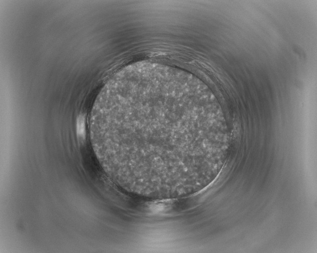 X0000115320094200912141207