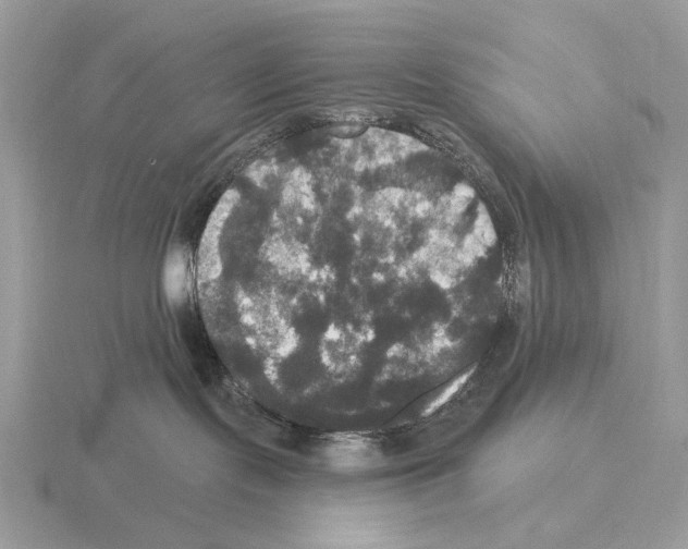 X0000115320095200912141207