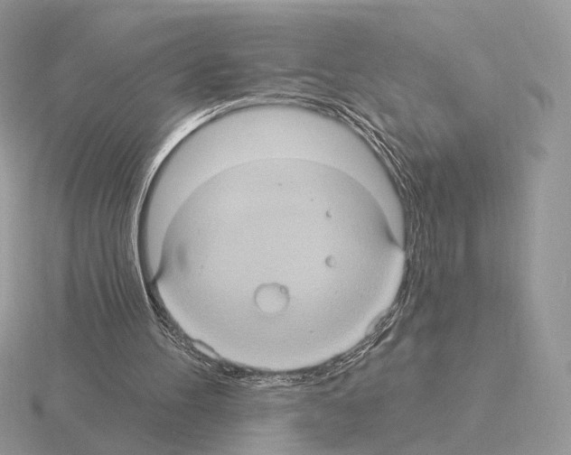 X0000115320100200912141207