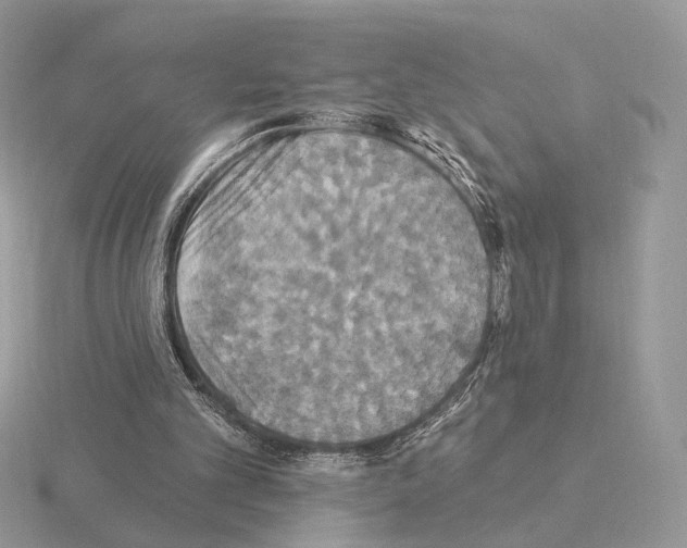 X0000115320101200912141207